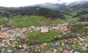 Vitanje 2014 iz zraka 2, Branko Rek